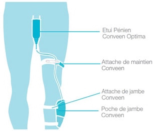 ETUI PENIEN – CONVEEN