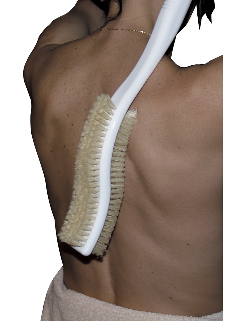 Brosse à dos ergonomique